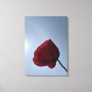 Search for red poppy canvas prints Sky