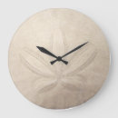 Search for sand dollar clocks Coastal