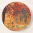 Search for road coasters Autumn