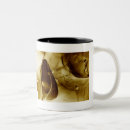 Search for this side up mugs Horizontal
