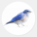 Search for bluebird stickers Vintage