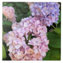 Search for hydrangea tiles Pink