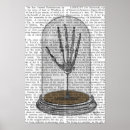 Search for animal skeletons posters Antique