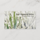 Search for dof Nature