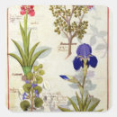Search for medicinal plants stickers Robinet