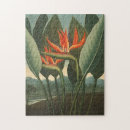 Search for bird of paradise puzzles Plant