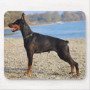 Search for doberman mouse mats Canine