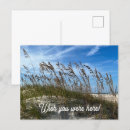 Search for oats postcards Ocean