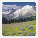 Search for mt rainier national park stickers Washington