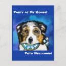 Search for aussie shepherd postcards Australian shepherd dog lovers