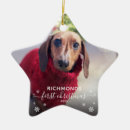 Search for animal star christmas tree decorations Modern