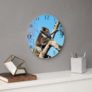 Search for koala clocks Wildlife
