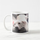 Search for get well soon mugs Recovery