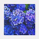 Search for blue hydrangeas magnets Garden