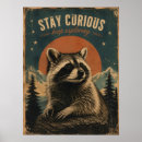 Search for racoons posters Wildlife