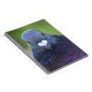 Search for pigeon notebooks Nature