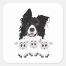 Search for border collie stickers sheepdog