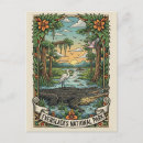 Search for alligators postcards Everglades