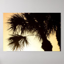 Search for backlite art Sunrise
