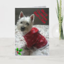 Search for westie mom cards Pet