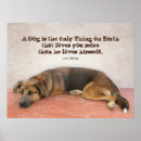 Search for bill posters Dog