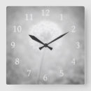 Search for black and white dandelion art Grey