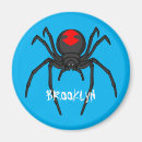 Search for widow magnets Spider