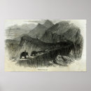 Search for indian elephant art School