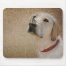 Search for funny lab mouse mats Humour