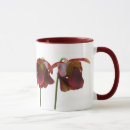 Search for carnivorous mugs Sarracenia