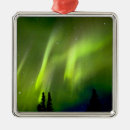 Search for scenic christmas tree decorations Usa