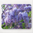 Search for wisteria mouse mats Flower
