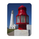 Search for latin christmas cards South america