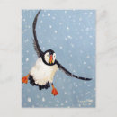 Search for seabird postcards Animal