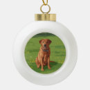 Search for red lab christmas tree decorations Labrador retriever