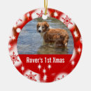 Search for pet first christmas tree decorations Snowflake