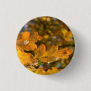 Search for oak badges Leaves