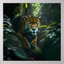 Search for onca Jungle