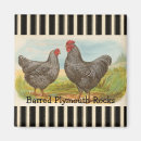 Search for poultry magnets Rooster