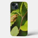 Search for frog ipad cases Green