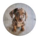Search for dachshunds chopping boards Domestic animals