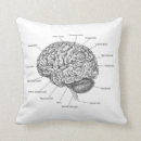 Search for brain cushions Anatomy