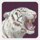 Search for white tiger stickers Wild cat