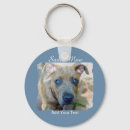 Search for bull key rings Brindle