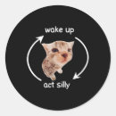 Search for silly cat stickers Kitty