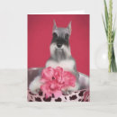 Search for miniature schnauzer cards Puppy