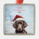 Search for pointer dog christmas tree decorations Gsp
