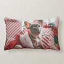 Search for french bulldog christmas cushions Frenchie
