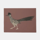 Search for roadrunner Bird