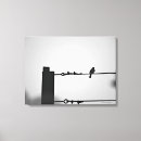 Search for black and white bird canvas prints Nature